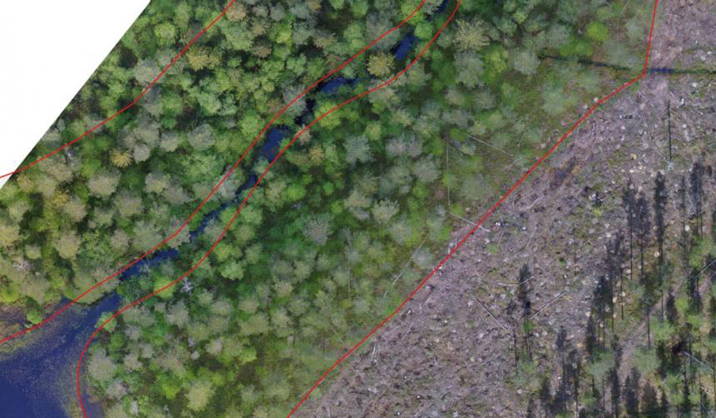 Kuvassa on dronekuvaa metsälakikohteesta, johon on merkitty punaiisella viivalla metsälakikohteen rajaus. 
