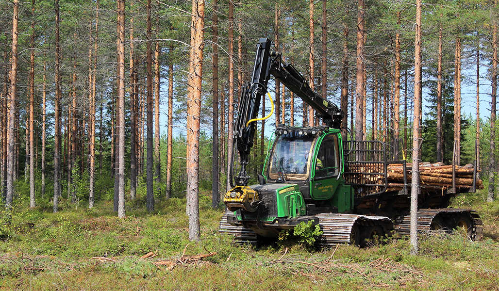 Metsäkone kulkee metsässä
