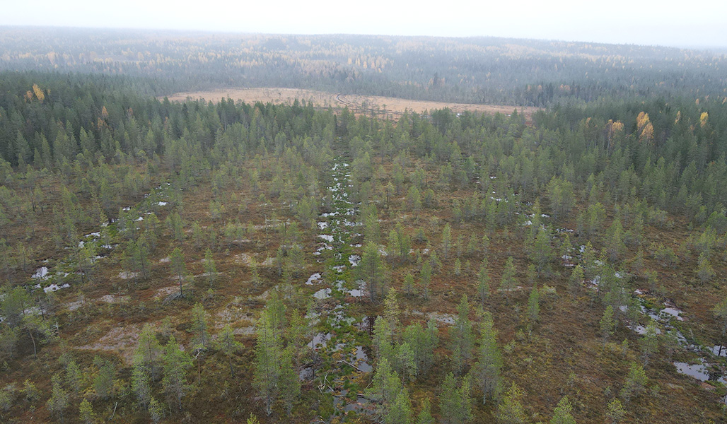 Dronekuvassa kolme tukittua sarkaojaa.