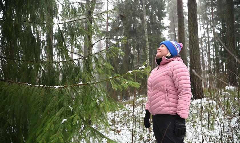 Heli Lehtomäki katselee puita metsässä. 