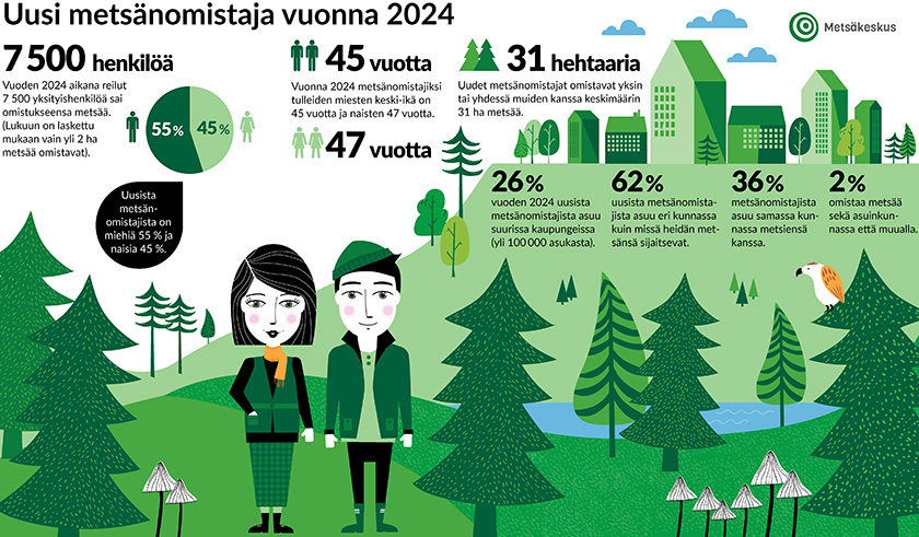 Uusi metsänomistaja vuonna 2024 7 500 henkilöä Vuoden 2024 aikana noin 7 500 henkilöä sai omistukseensa metsää. (Lukuun on laskettu mukaan vain yli 2 ha metsää omistavat).  Uusista metsänomistajista oli miehiä 55 % ja naisia 45 %.  Vuonna 2024 metsänomistajiksi tulleiden miesten keski-ikä on 45 ja naisten 47 vuotta.  Uudet metsänomistajat omistavat yksin tai yhdessä muiden kanssa keskimäärin 31 hehtaaria metsää.  26 % uusista metsänomistajista asuu suurissa kaupungeissa. (yli 100 000 asukasta) 62 % prosenttia uusista metsänomistajista asuu eri kunnassa kuin missä heidän metsänsä sijaitsevat.  36 % prosenttia asuu samassa kunnassa metsiensä kanssa.  2 % prosenttia omistaa metsää sekä asuinkunnassa että muualla. 