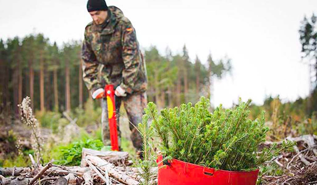 Kuvan taka-alalla mies istuttaa taimea pottiputkella. Etualalla on kuusentaimia taimivakassa. 