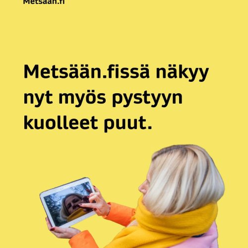 Joillekin Metsään.fi-palvelun käyttäjille näkyy nyt myös, onko metsässä kuolleita kuusia. 🌲 Metsäkeskus on lähettänyt s...