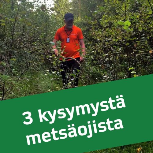 Miksi suometsissä on ojia ja milloin ojat kannattaa avata? Metsänhoidon asiantuntija Tatu Viitasaari vastaa videolla kys...