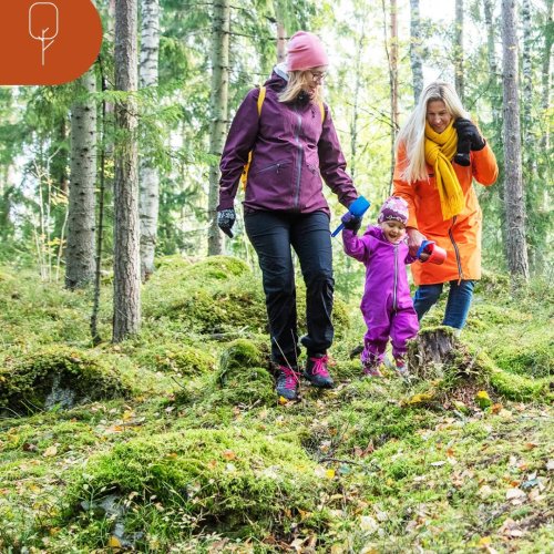 Metsäohjelmat kertovat, millaiseen suuntaan maakuntien metsien hyödyntämistä tulisi viedä. Mitä uusilla vuosien 2026–203...