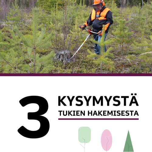 Oletko miettinyt tuen hakemista taimikon ja nuoren metsän hoitoon? Hakemuksen voit tehdä Metsään.fi-palvelussa ja ohjeet...