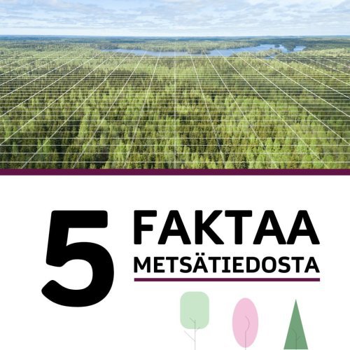 Me Metsäkeskuksessa keräämme, jalostamme ja jaamme metsä- ja luontotietoa kaikille kiinnostuneille. Mutta mitä se t...