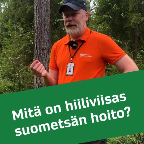 Miten suometsiä hoidetaan hiiliviisaasti? Suometsissä kasvava puusto sitoo hiiltä, mutta samalla maaperästä vapautuu kas...