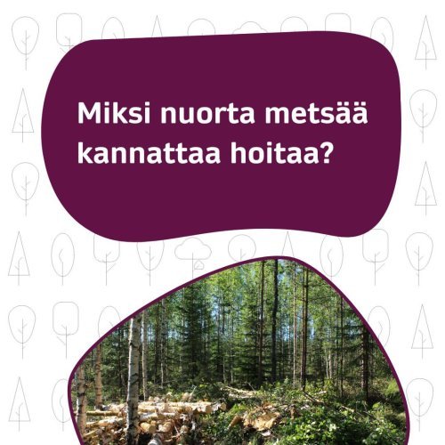 Nuoren metsän hoito tarkoittaa varttuneen taimikon hoitoa tai nuoren metsän kunnostusta. Nuoren metsän hoito on tarpeen,...