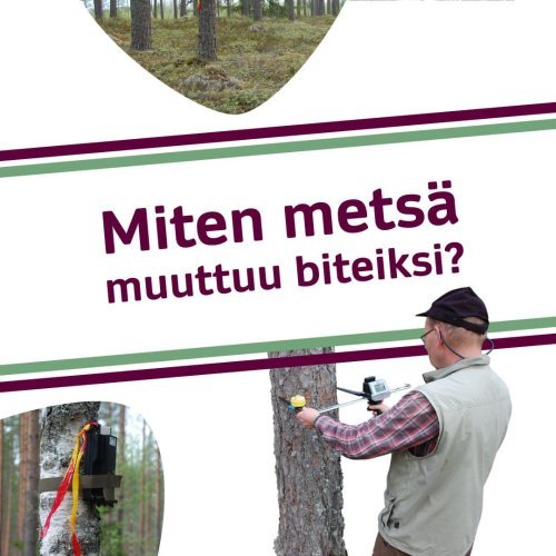 Kun pohdit oman metsäsi käyttöä, apunasi on kattava metsävaratieto. Tiedon avulla voit tehdä suunnitelmia tulevist...