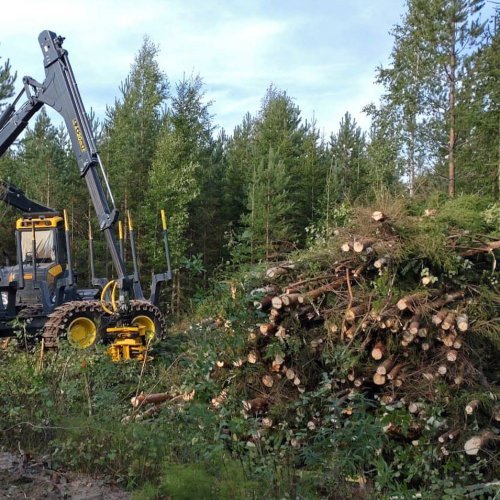 Tiedätkö onko metsässäsi energiapuuta? Metsien harvennuksista saatavan energiapuun kysyntä on kasvussa. Nyt kannattaakin...