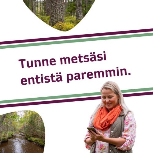 Uudistuneen Metsään.fi-palvelun avulla saat entistä paremman kuvan metsäomaisuudestasi. Palvelussa on nyt aiempaa monipu...