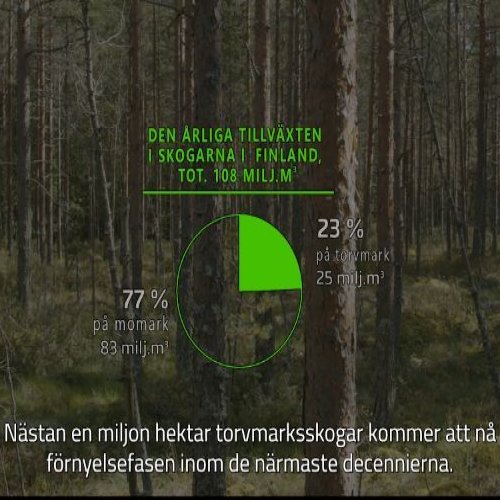 Finland är de tusen torvmarkernas land. I torvmarksskogarna finns betydande virkestillgångar, som går att utnyttja på et...
