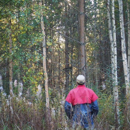 Osallistu arvontaan - voita tonnilla metsän- tai luonnonhoitotöitä.

Onko metsissäsi pienpuun korjuukohteita? 🌳 Jätä me...