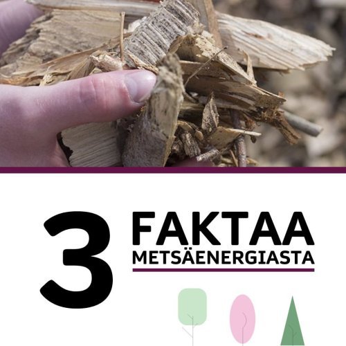 Metsät ovat tärkeä energianlähde. Vuonna 2022 puupolttoaineilla tuotettiin 28,5 prosenttia Suomessa kulutetusta energias...