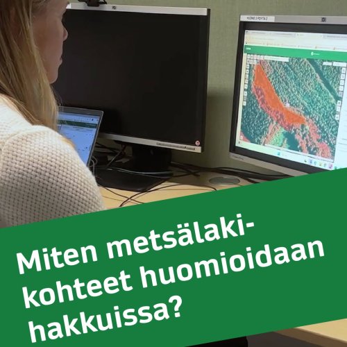 Miten metsälakikohteet otetaan huomioon, kun metsässä tehdään hakkuita? Metsäkeskus tuottaa luontotietoa metsälain erity...
