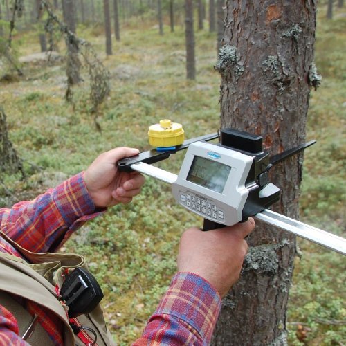 Tiesitkö, että kesällä saatat luonnossa tai omassa metsässä liikkuessasi törmätä mittauspuuhissa olevaan metsä...
