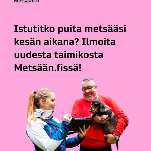 Oletko perustanut taimikon tai täydentänyt aiemmin perustettua taimikkoa kesän aikana? Ilmoita siitä meille Metsään.fi-p...