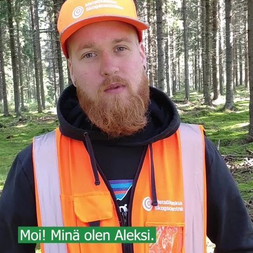 Kiinnostaisiko kesätyö metsässä? Etsimme nyt harjoittelijoita ensi kesäksi tekemään koealamittauksia eri puolille Suomea...