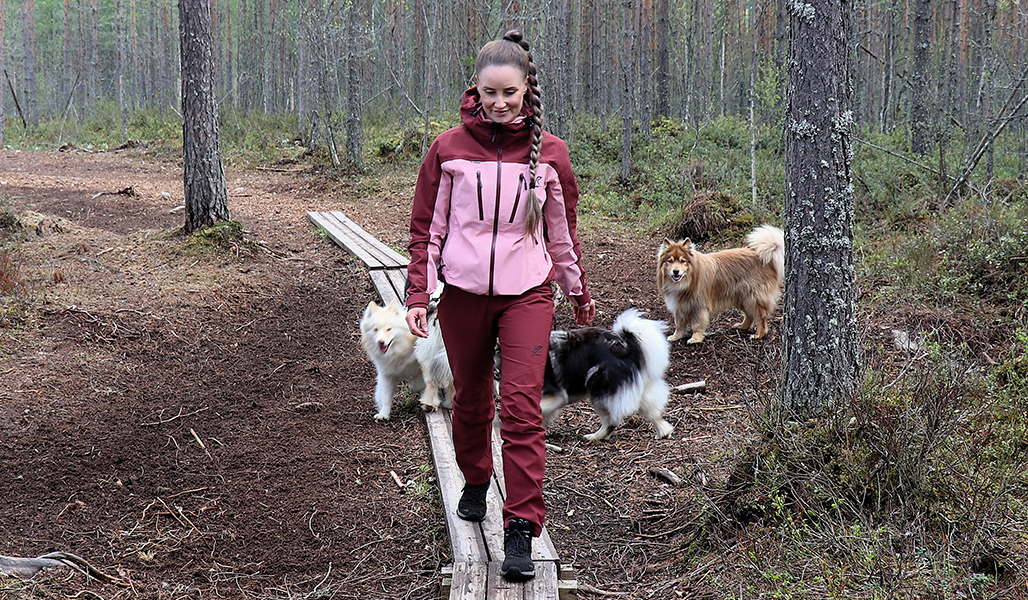 Koirametsän märkiin paikkoihin on rakennettu pitkospuut. 
