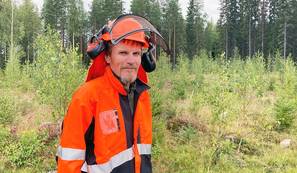 Metsuri Esa Lappi oranssissa suojavarusteissa hoidetussa taimikossa.