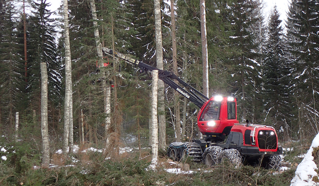 Hakkuukone katkoo koivuja tekopökkelöiksi talvisessa metsässä.