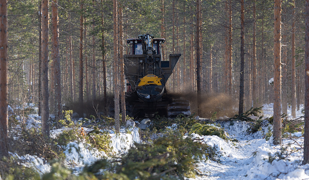 Metsätraktori levittää tuhkaa lannoitteeksi metsään talvella. 