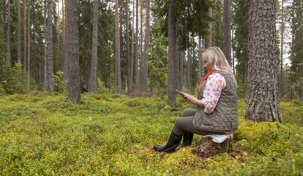 Nainen istuu metsässä kannolla ja katsoo puhelinta. 