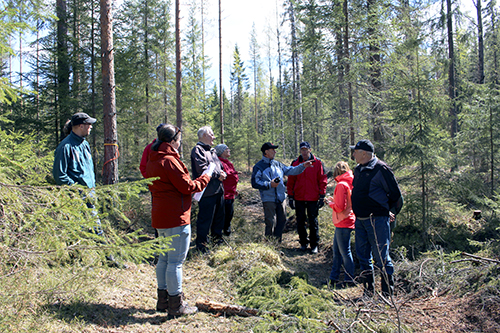 Aino Ässämäki ja seitsemän metsänomistajaa katselee metsässä ajouralla poimintahakkuun jälkiä. 