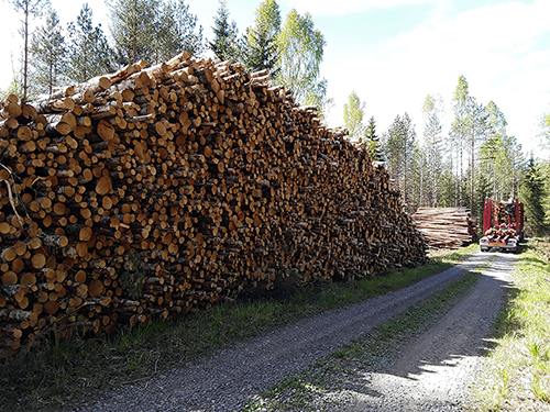 Metsätien varressa on kaksi korkeaa puupinoa. Kauempana tiellä on puunkuljetusauto. 