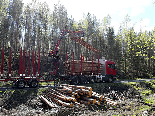 Sarah Lindahl on puunkuljetusauton nosturissa ja lastaa metsätien varresta puukuormaa rekan kyytiin. 