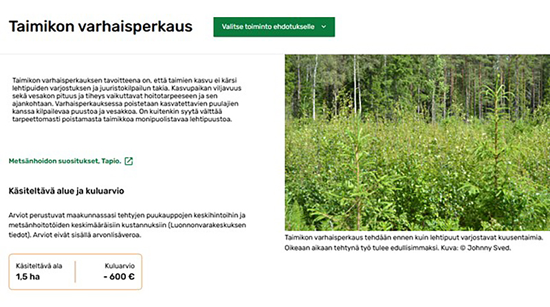 Kuvakaappaus Metsään.fi-palvelusta, jossa näkyy metsänhoidon ehdotus taimikon varhaisperkauksesta.