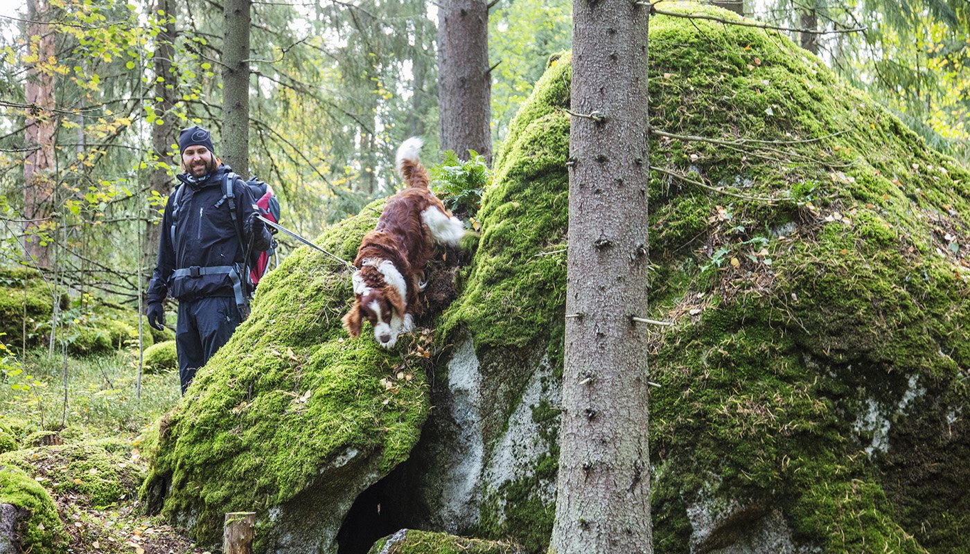 Metsistä työtä, virkistystä ja uusia tuotteita