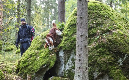 Mies kävelee koiran kanssa metsässä