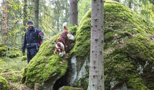 Metsistä työtä, virkistystä ja uusia tuotteita
