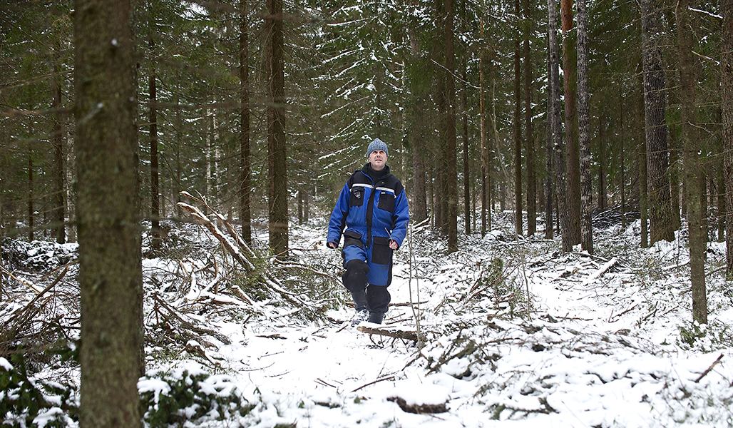 Henkilö kulkee metsässä, jossa on hieman maassa lunta. 