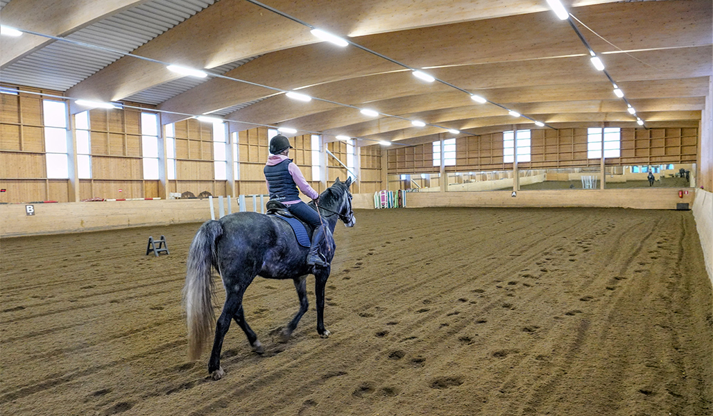 Ratsastaja ja hevonen harjoittelevat puumaneesissa. 