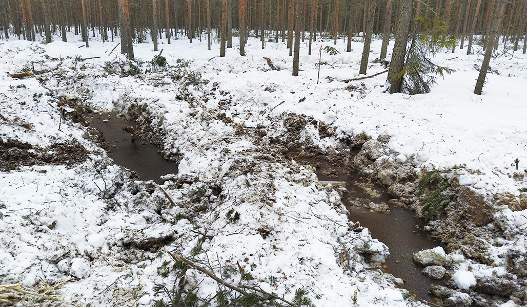 Metsäkoneen jättämät syvät ajourat maassa talvella. 