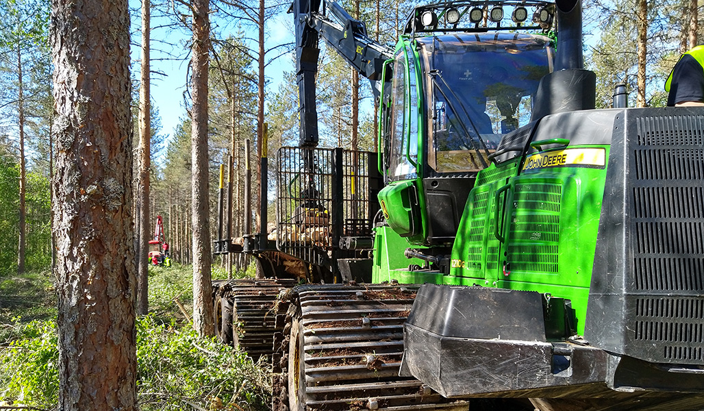 Ajokone, jossa on kantavat telat, kerää puuta metsässä. 