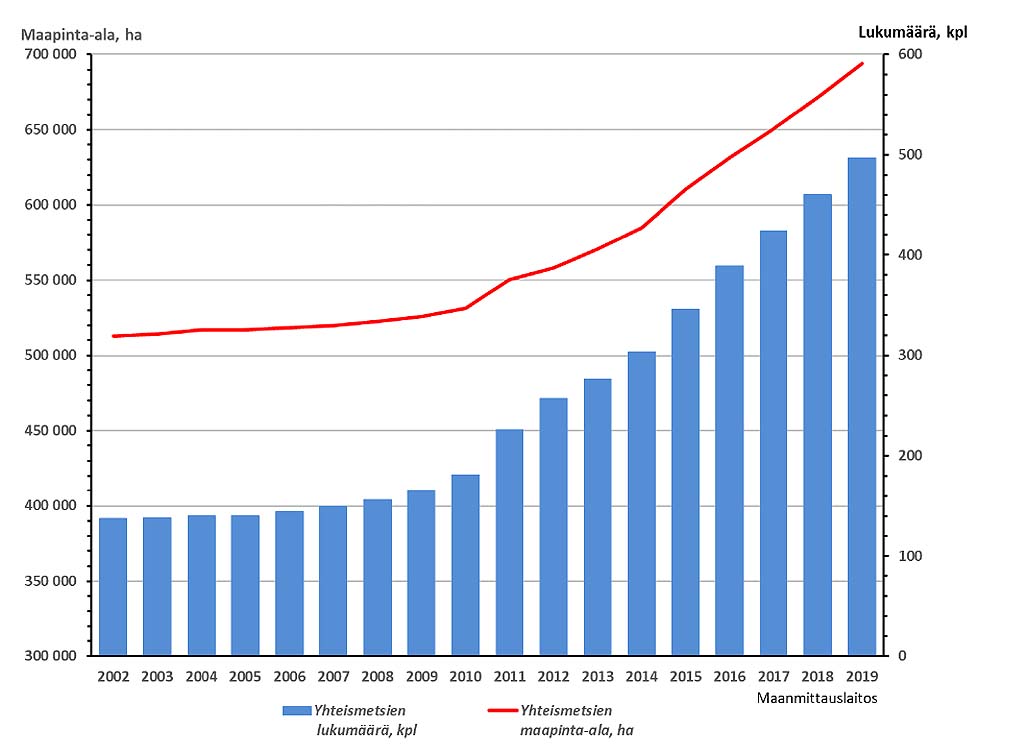 Grafiikassa on kuvattu yhteismetsien määrän ja pinta-alan kehitystä vuosina 2002-2019. Vuonna 2002 yhteismetsien pinta-ala oli vielä ale 400 000 hehtaaria ja vuonna 2019 jo reilusti yli 600 000 hehtaaria. Myös yhteismetsien lukumäärä on kasvanut. Vuonna 2002 yhteismetsiä oli noin 125, vuonna 2019 niitä oli jo noin 500. 