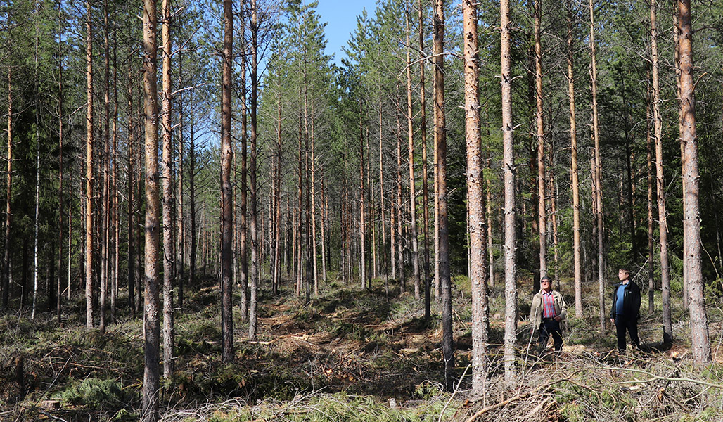 Kaksi miestä metsässä