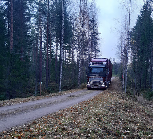 Tukkirekka kapealla metsätiellä syksyllä.